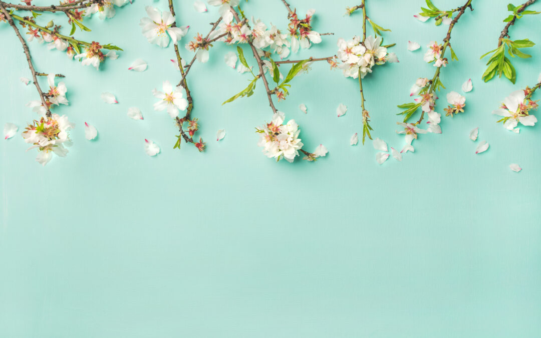 Stock Photo Shoot Planning for April